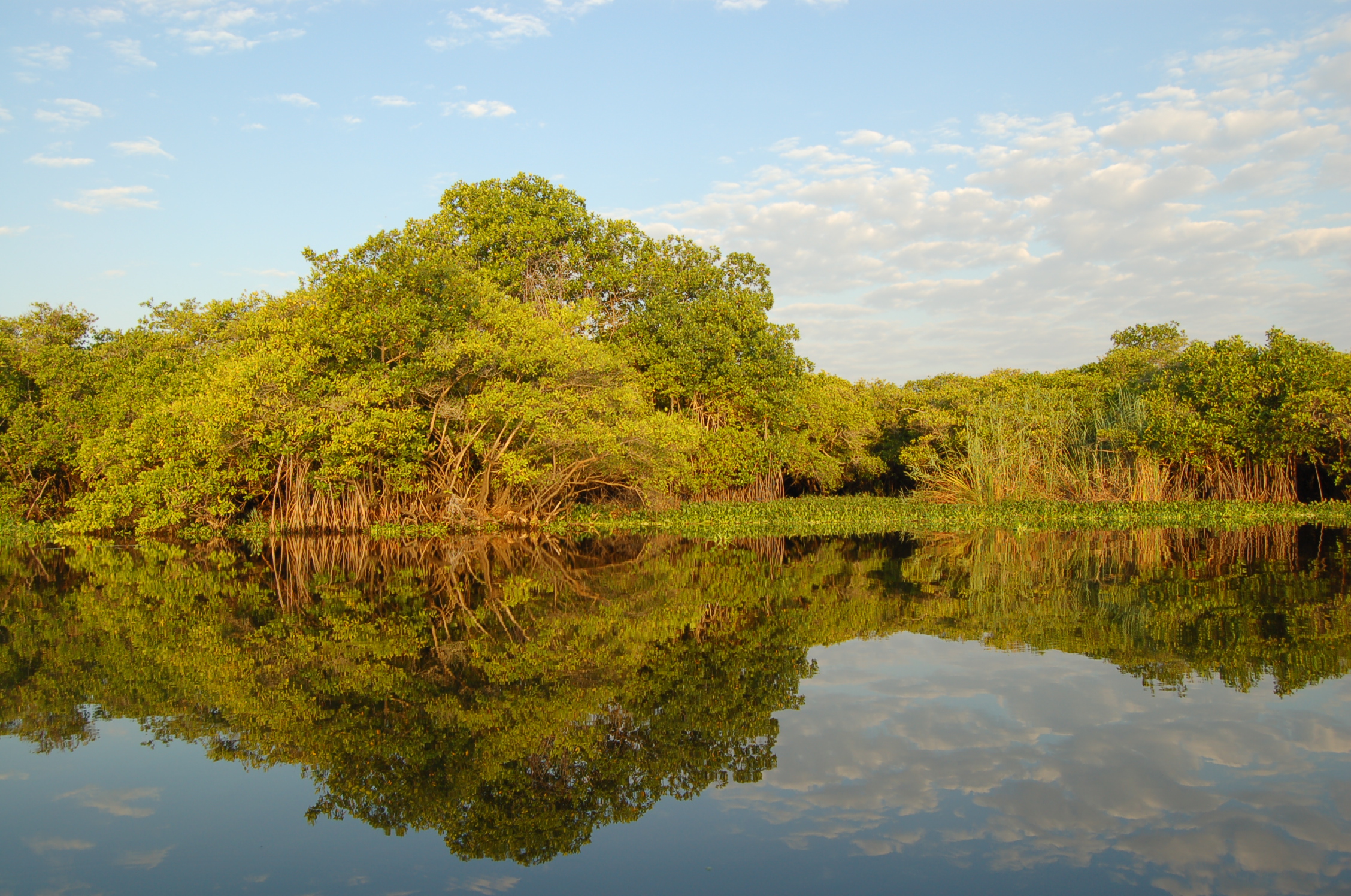 Seis Humedales Colombianos De Importancia Mundial Interamerican Association For Environmental